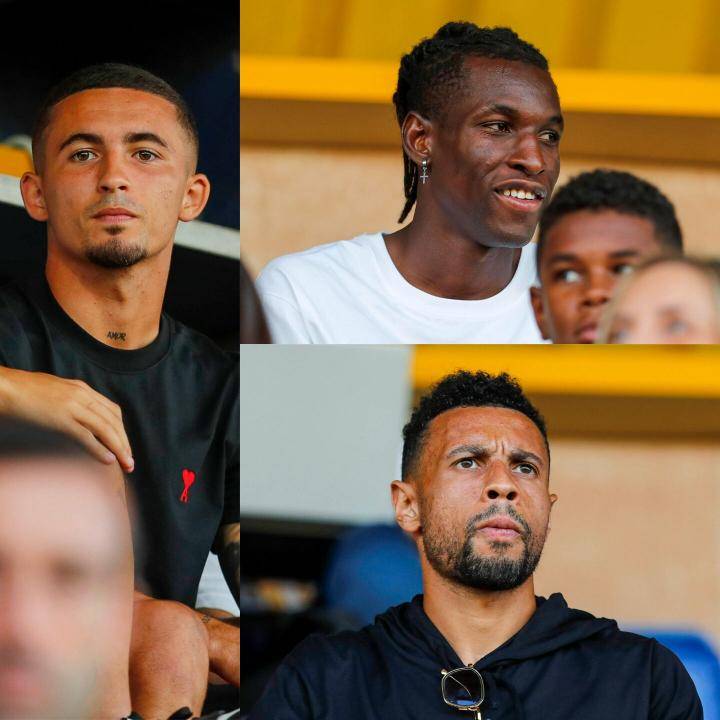 第一只先锋 第一只先锋