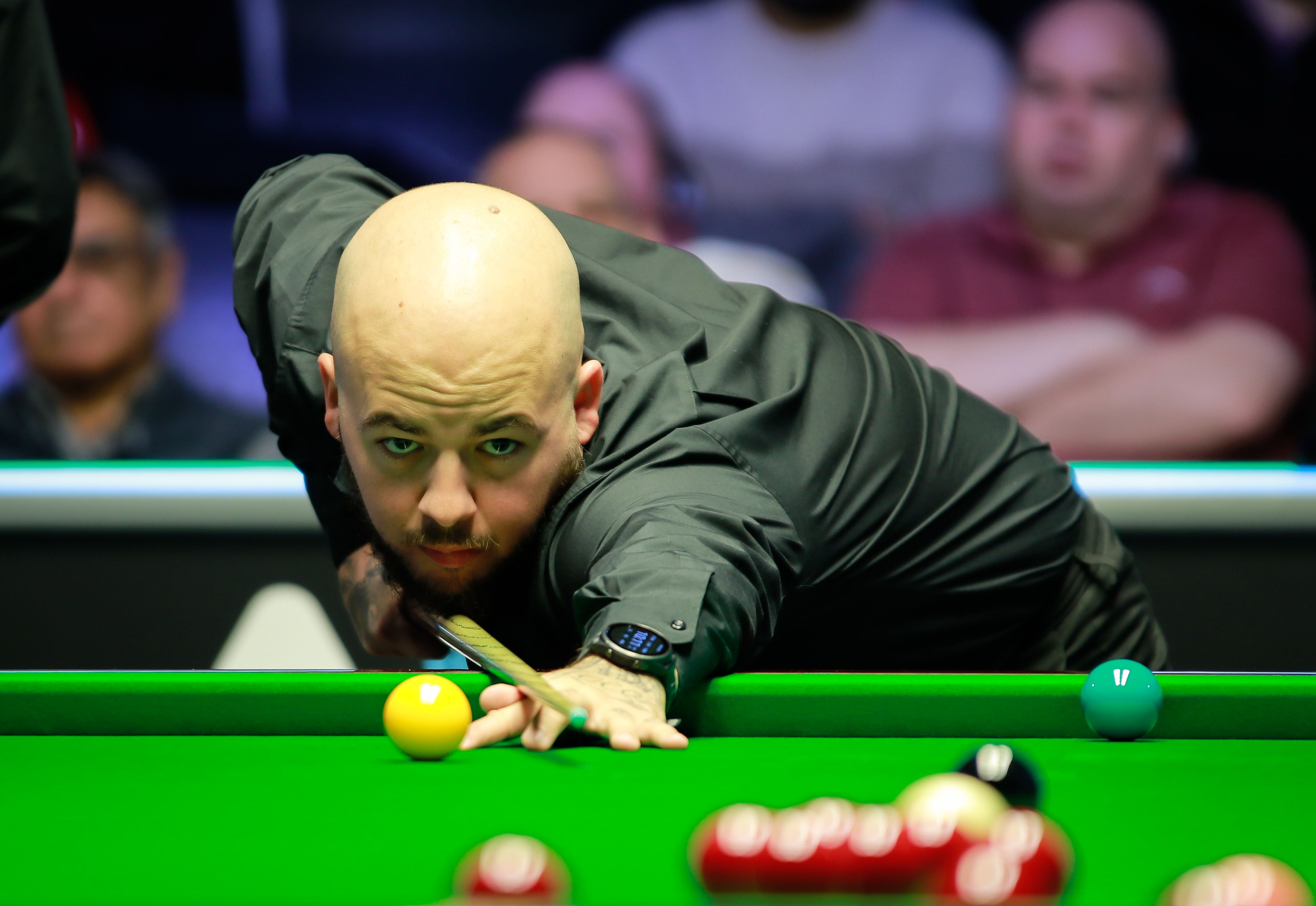 的综合褒奖 的综合褒奖